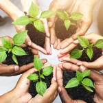 Evento di inizio anno del Branch Sicilia - 2026